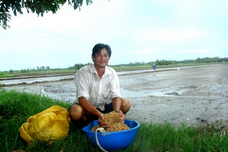 Anh Võ Quốc Phong chuẩn bị sạ lúa Hè Thu ở cánh đồng ấp Bờ Sao.