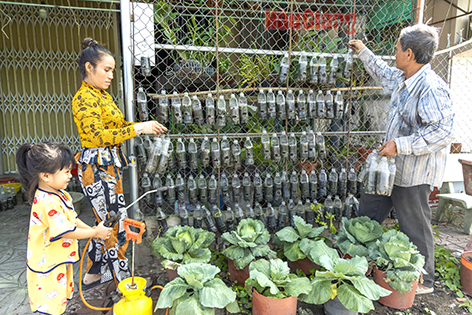 Gia đình ông Nguyễn Minh Quang, ở khu vực 5, phường Ngã Bảy, đã tận dụng những vỏ chai nước bỏ đi làm dụng cụ treo trên hàng rào trồng các loại rau ăn lá nhằm cải thiện bữa ăn hàng ngày cho gia đình.