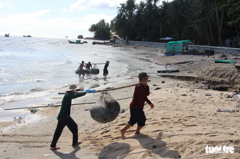  Các thanh niên ở ấp Bãi Bấc gánh lưới lên bờ - Ảnh: C.CÔNG