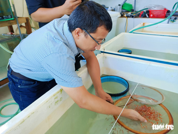 Ông Lâm và những chú cá Nemo được nhân giống trong dự án của Viện Hải dương học