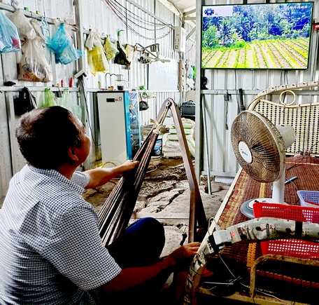 Hệ thống camera giám sát nhân công làm việc tại vườn cam sành của anh Huỳnh Công Vinh.