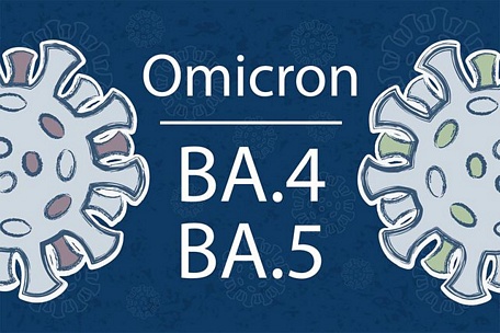  Hai dòng phụ BA.4 và BA.5 không gây nguy hiểm hơn so với biến thể Omicron nhưng lại lây lan nhanh hơn