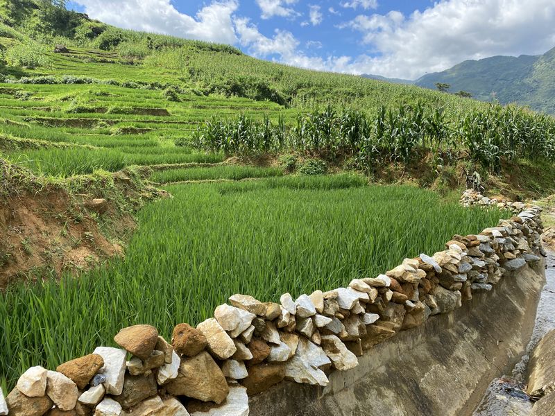 Người dân dùng đá để be bờ giữ nước cho từng mảnh ruộng nhỏ để cấy lúa, trồng bắp ngô.