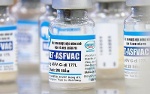 Báo Đức ca ngợi Việt Nam phát triển vaccine chống dịch tả lợn châu Phi
