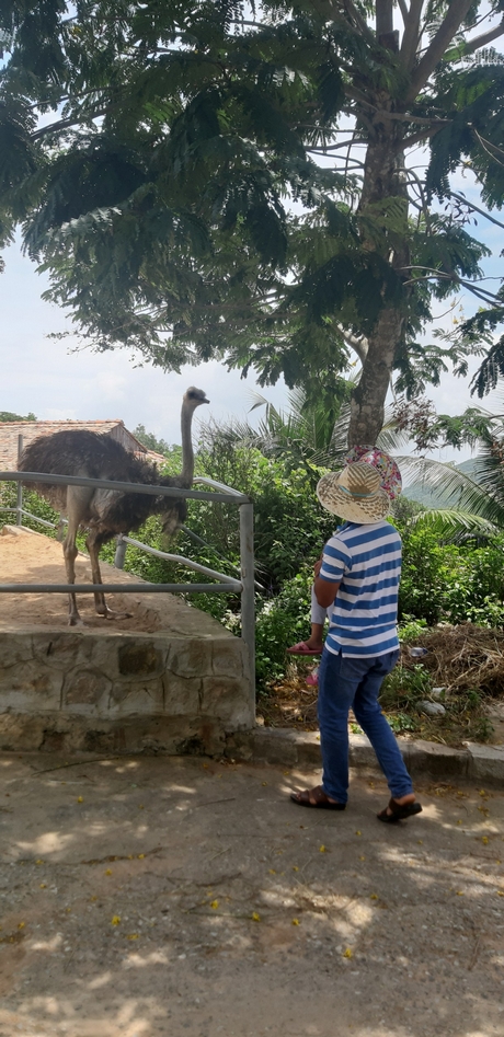 Du khách tham quan vườn thú tại Khu du lịch Hồ Mây (Vũng Tàu).