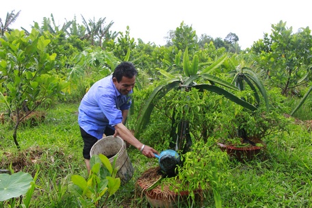Để tiết kiệm chi phí, một số nông dân đã tận dụng phế phẩm nông nghiệp, sử dụng phân hữu cơ vi sinh để bón cho cây trồng.