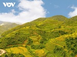Vẻ đẹp vùng cao Xím Vàng, Sơn La