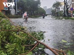 Quang cảnh Đà Nẵng sau khi bão số 4 đổ bộ