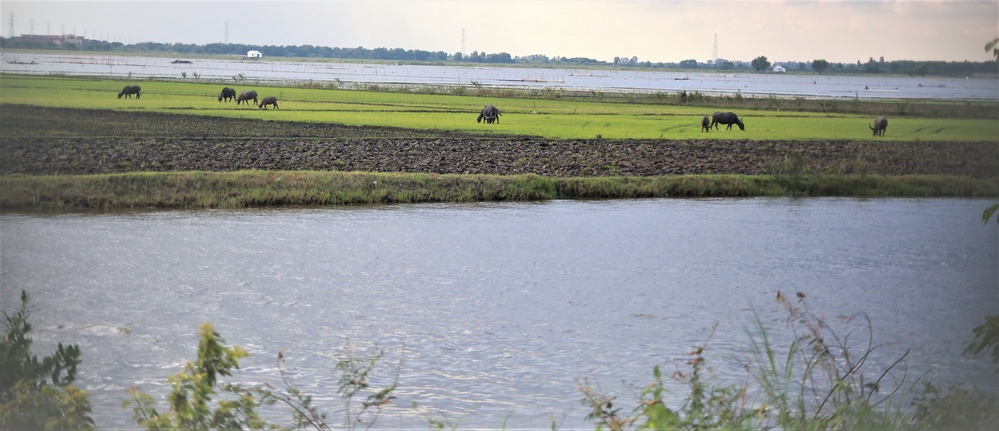  Tại huyện Tịnh Biên (An Giang), nước đã tràn lên những cánh đồng.
