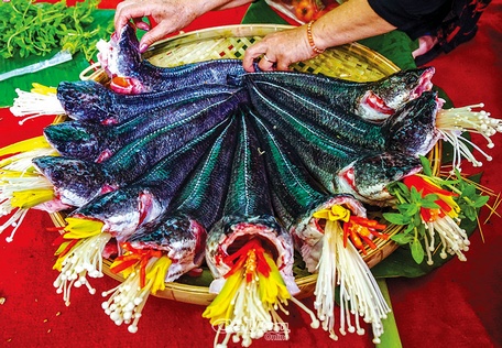 Cá lóc là loại thực phẩm dinh dưỡng và thường được góp mặt trong các bữa cơm gia đình ở vùng ngọt hoá Cà Mau.
