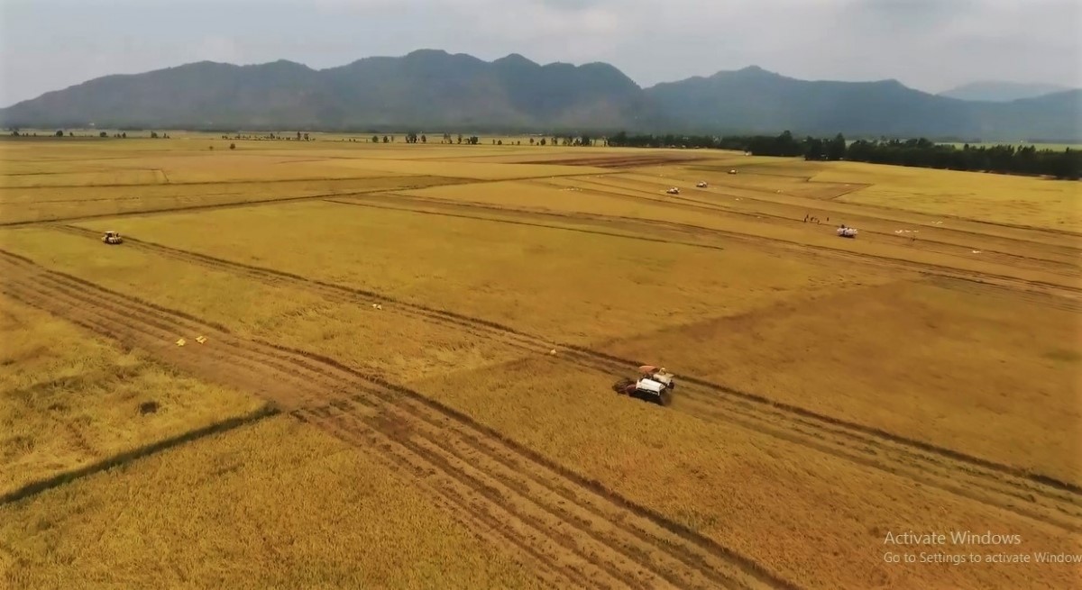 Hệ thống kênh đi vào hoạt động đã hình thành vùng sản xuất lúa khoảng 125.000 ha, góp phần tăng sản lượng xuất khẩu lúa gạo ở khu vực này, gồm 2 tỉnh An Giang và Kiên Giang
