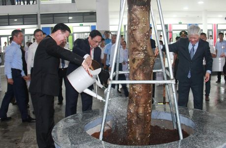 Thủ tướng Chính phủ Phạm Minh Chính, Thường trực Ban Bí thư Võ Văn Thưởng trồng cây lưu niệm tại Trường THPT Nguyễn Hiếu Tự