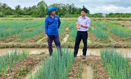Trong sản xuất nông nghiệp, nông dân huyện Bình Tân được cán bộ địa phương quan tâm, thường xuyên xuống hướng dẫn kỹ thuật.