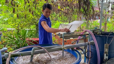 Hệ thống lọc nước tuần hoàn giúp lươn khỏe mạnh của anh Trần Khánh Duy.