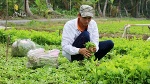 Thuận An xây nông thôn mới kiểu mẫu