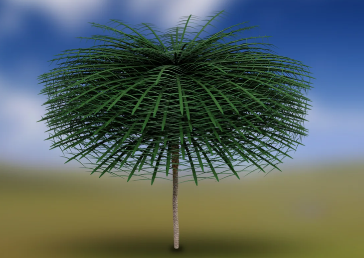 Hình phục dựng 3D của cây Sanfordiaaulis - Ảnh: COURTESY STONE SIFIER