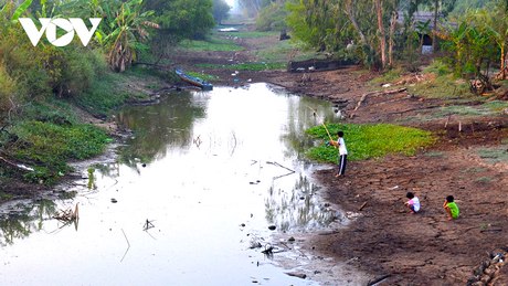 Trước tình hình nắng hạn gay gắt, vùng ngọt tỉnh Cà Mau cũng đang bị khô kiệt nước, gây thiệt hại lớn. (Ảnh: Trần Hiếu)
